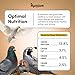 Mycelium Organic Oat Groats for Birds (5 LB Bag) | Clean, Non-GMO Grain Treat or Food Additive | Debris & Dust-Free Advanced Sifting | Ideal for Small Pet & Ground-Feeding Wildlife Birds | Made in USA
