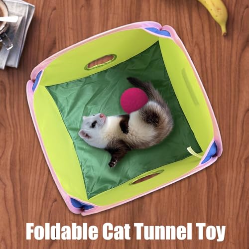 Tunnel pliable pour chat interactif imperméable intérieur extérieur