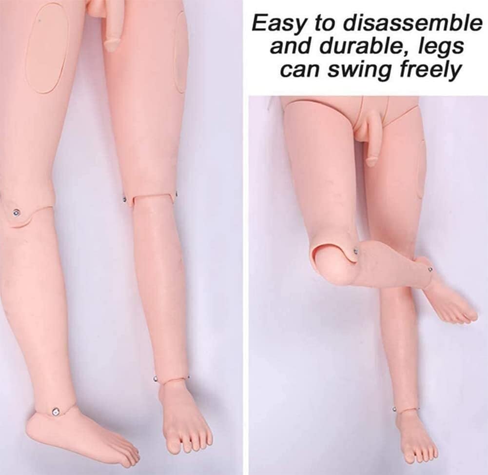 Krankenpflege-Trainingspuppe, Demonstrationspuppe aus menschlichem PVC, anatomische Schaufensterpuppe, für das Training von Fähigkeiten und Unterrichtsmaterialien für Schüler, 170 cm (männlich)