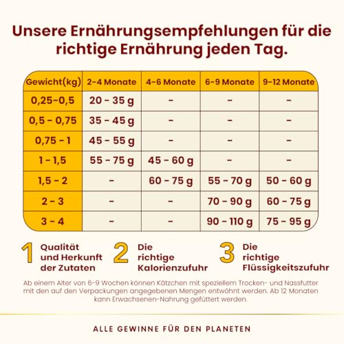 Almo Nature HFC Our Best - Kitten - Trockenfutter für Kätzchen - Frisches Huhn - Für ausgewogenes Wachstum, Lebensmittelqualität, Glutenfrei, Monoprotein - 300g