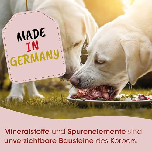 Fit-BARF Mineral für Hunde & Katzen – Hochwertige Calciumquelle aus Eierschalen & Algen für gesunde Ernährung 1 kg