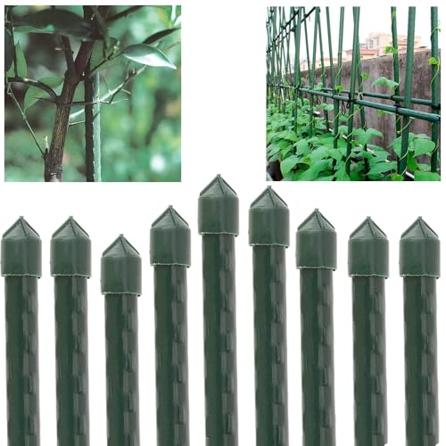 Suinga Lot de 10 tuteurs en acier plastifié 210 cm Ø16 mm | Bâtons pour plantes et arbres | Tuteurs pour tomates et plantes grimpantes | Support pour plantes, vert