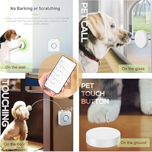 Evernary Canine Door Bell for Potty Coaching to Go Exterior Upgrate Wifi Doggie Door Bell for Canine Wifi Doggy Doorbell with Cellphonewaterproof Contact Button with Further Giant Activate Vary  Cucciolini Doodles Evernary canine door bell for potty coaching to go exterior upgrate wi fi doggie door bell for canine wifi doggy doorbell with cellphonewaterproof contact button with further giant activate vary   cucciolini doodles