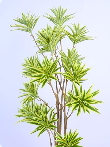 Image of ARICK DECOR 5.6ft Artificial Dracaena Reflexa Tree - Large Faux Lush Peacock Shaped Floor Plant with Black Pot for Indoor Home Office Decor - 170cm Green