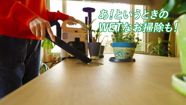 Amazon.co.jp: Vittorio(ヴィットリオ) 乾湿両用掃除機 WET&DRY