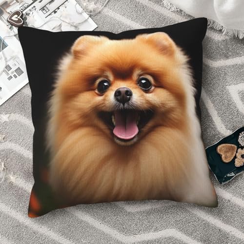 Housse de coussin velours côtelé 50x50 cm lavable pour rénover canapé