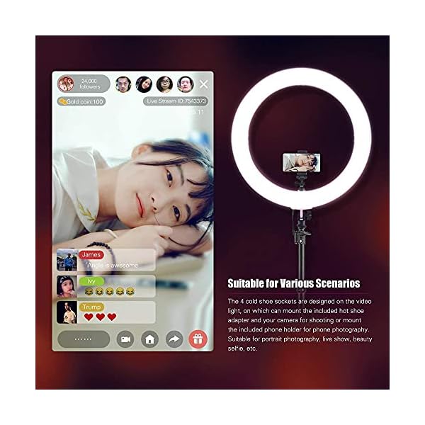 ROM XL 19 Zoll 720 LED Ringlicht mit Ständer 2 m Telefonhalter 3200K-5600K Zweifarbiges dimmbares Streaming-Licht CRI90… – Bild 6