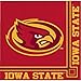 Creative Converting Iowa State Cyclones Beverage Napkin (20 Count)