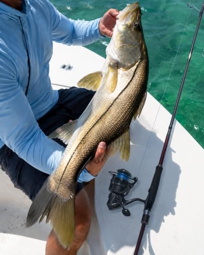 TRUSCEND Aetheron Seabass Cañas de Pescar Multi-Pieza, Caña de Lanzamiento Largo con Carbono Toray y Guías Fuji SIC para Alta Sensibilidad y Resistencia, Protección Anticorrosión, Cañas de Viaje para Agua Dulce y Salada miniatura 2