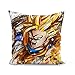 Housse de Coussin 40x40 cm Dragon Ball Z Son Goku Coup de Poing