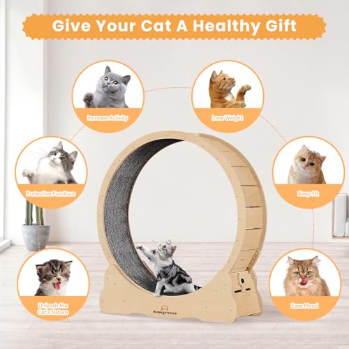 Image of Homegroove 35.4 Inch Cat Exercise Wheels for Indoor Cats, Versatile Cat Toy Running Wheel Treadmill with Detachable Carpet for Weight Loss and Health, Natural Wood Color(M)
