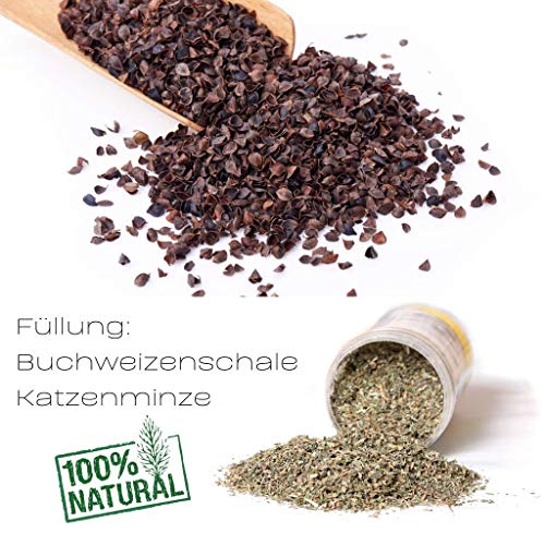 COSY AND DOZY Giocattolo per Gatti con Erba gatta