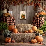 Zoom IMG-1 kiyoyo targa rustica da parete Zoom IMG-1 kiyoyo targa rustica da parete