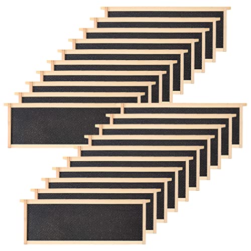 BeeCastle 20-Pack Waxed Foundation with Complete Unassembled Commercial Frames 6-1/4-Inch (Black)