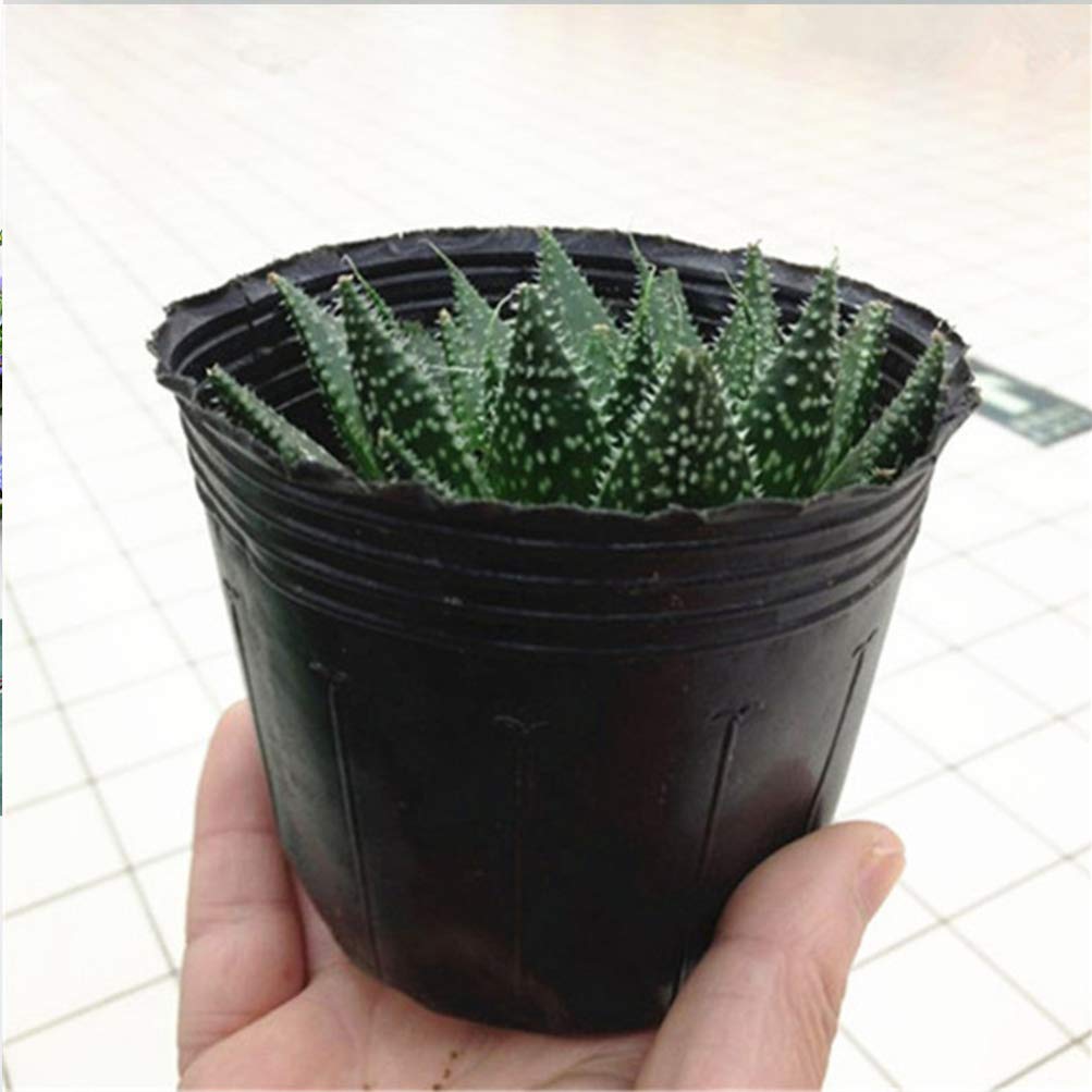 Hemoton 300 macetas de plástico para plantas de vivero, macetas de plástico para semillero de inicio, macetas para trasplantar, bandejas de arranque para jardín, herramientas de 9 x 9 cm
