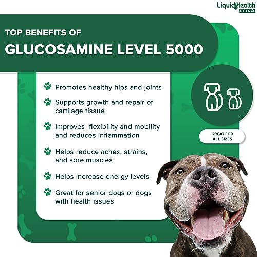 LIQUIDHEALTH Pets K9 Liquid Glucosamine Level 5000 for Large Breeds with Chondroitin, MSM - Pet Joint Health Supplements, Dog Vitamins Hip Joint Juice, Dog Joint Oil - Made in The USA (1 Gallon)