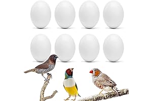 8Pcs Fake Bird Eggs, Encourage Exercise, Release Stress for African Grey Cockatoo