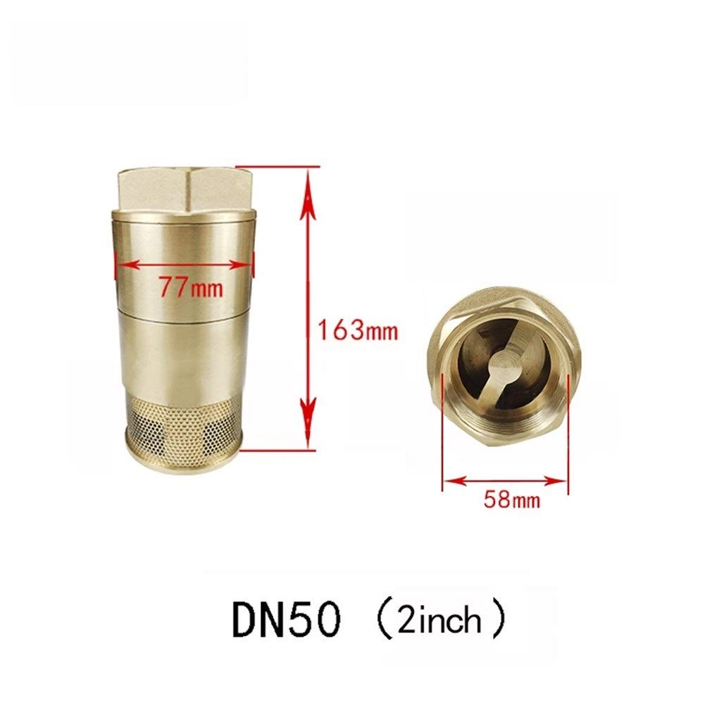Válvulas de retención Válvula de retención DN25 DN40 DN50 DN65 DN80 Válvula de retención Tanque de aceite Cobre Puerta doble Válvula de retención de cobre Accesorios for cisternas de gasolineras(DN50)