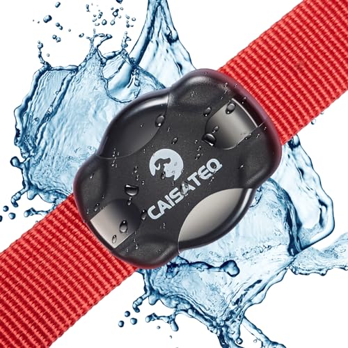 Airtag On Dog The 15 best products compared Wild Explained