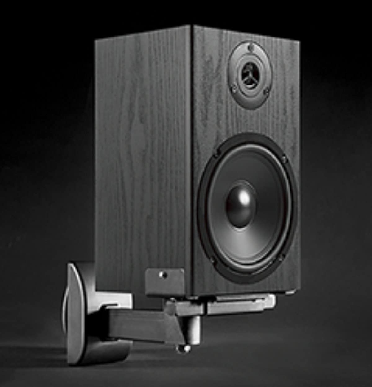 Soporte de pared para altavoz, universal, para estanterías, 2 unidades, soporta 15 kg, sin herramientas, giratorio, inclinación, montaje en pared, tacos de pared, color negro
