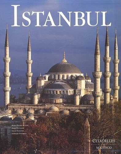 Istanbul tapis plat facile à nettoyer pour grand salon familial