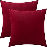 Vista 12 de Juego de 2 fundas de almohada de terciopelo para sofá y cama, 18 x 18 pulgadas, color aguamarina