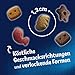 Felix KnabberMix Strandspaß Katzensnack, Knusper-Leckerlie mit Fisch-Geschmack, 8er Pack (8 x 60g)