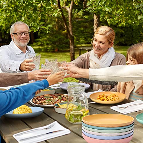 Ruibolu 9 Inch Large Cereal Plates 6 Pieces,Plastic Plates, Unbreakable And Reusable Light Weight Dinner Plates Pasta,Camping Plates, Dinner Plates, And Dumpling Bowl Microwave Safe Bpa Free #TOP5