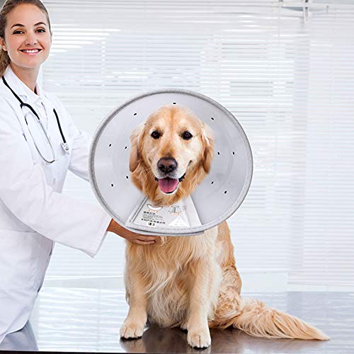 adjustable dog cone