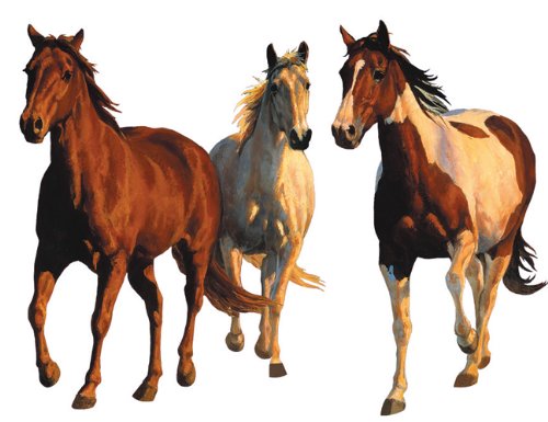Wallies Wallpaper Mural, Chris Cummings Wild and Free Horses