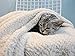 furrybaby Dog Blanket Soft Dog Blankets for Large Dogs Puppy Essentials Washable Sherpa Fleece Cat Blanket 32x40 Inches for Bed Furniture Couch Sofa (Medium, Beige)