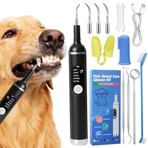 11-in-1 Kit Pulizia Denti Cane, 5 Modalità Rimozione Elettrico Della Placca Dentale, Spazzolino Ultrasuoni con Luce LED, USB Ricaricabile Spazzolino, Pulisci Togli Tartaro e Macchie per Cani e Gatti