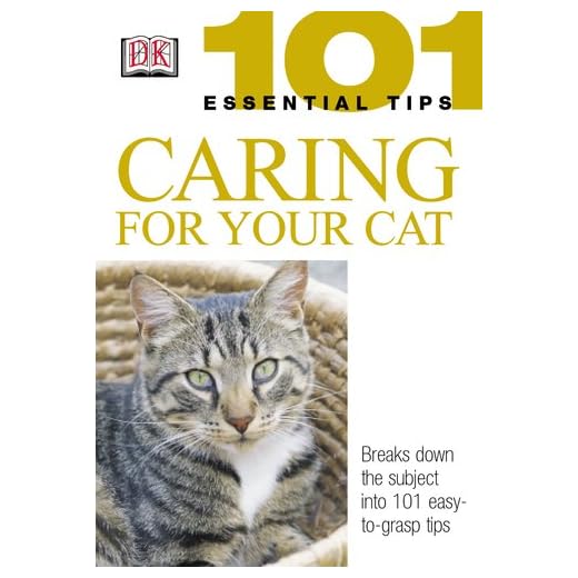 Essential Tips for Cat Care