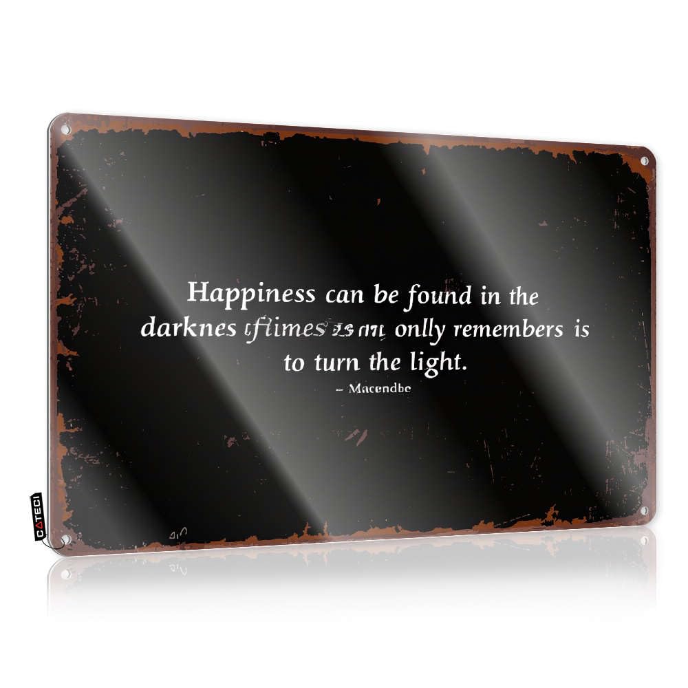 Happiness Is Found In Darkness. Cool Wall Decor Lake Hanging | Indie Cool Wall Art Fun Vintage Metal Wall Decor(30X40CM)