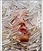 Marina Abramovic