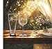 C M - His and Hers Wedding Couple Glass Set - 2 Pieces - 23 oz. Beer Pilsner and 19 oz. Wine Glass - Couple Engagement Anniversary Bridal Gift