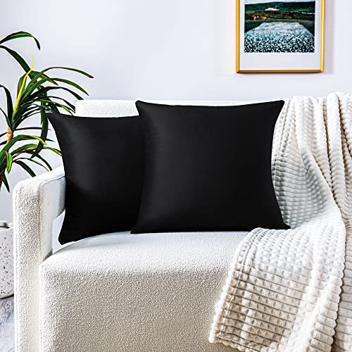 FARFALLAROSSA Set de 2 Terciopelo Funda de Cojín 45x45 cm, Funda de Almohada del Sofá Throw Cojín, Decoración Almohada Caso de la Cubierta Decorativo para Sala de Estar - Negro Cover