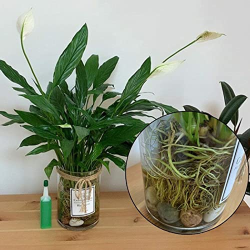 Jimtuze Bavaglini con Catcher | Bavaglini