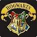 Sudadera de NIÑOS Harry Potter Hogwarts Slytherin Gryffindor 015 9-11 Años