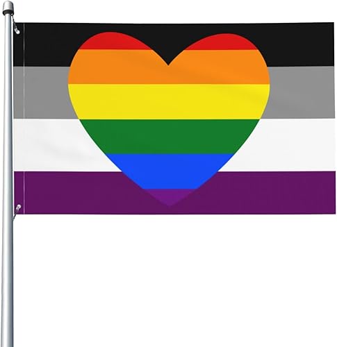 Homoromantic - Bandera de orgullo asexual para fiesta de bienvenida al aire libre, decoración exterior para el hogar, casa, jardín, patio, bandera