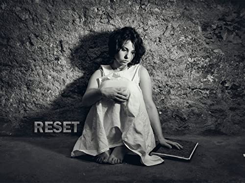  RESET