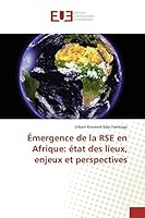 A0/00mergence de La Rse En Afrique: A(c)Tat Des Lieux, Enjeux Et Perspectives 3841663540 Book Cover