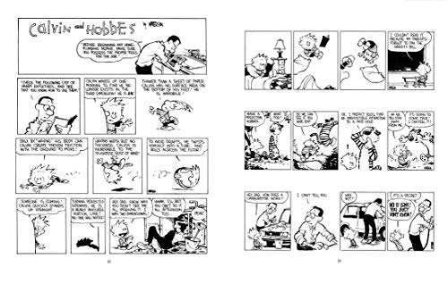 Image of The Authoritative Calvin and Hobbes (A Calvin And Hobbes Treasury)