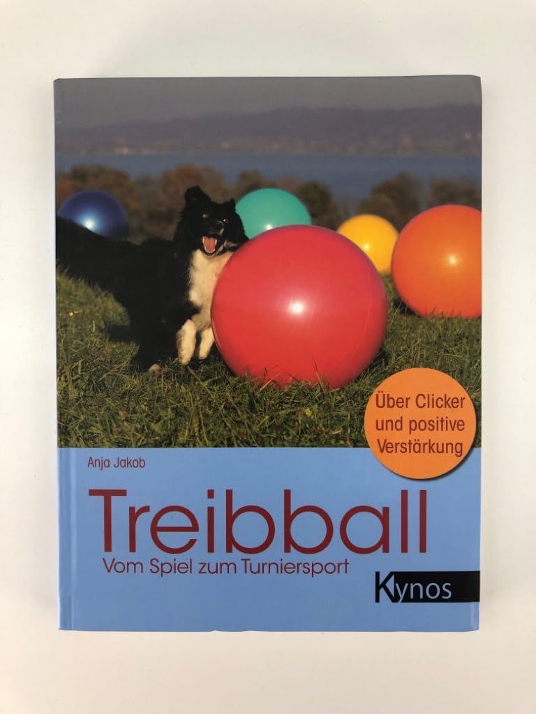 Treibball: Vom Spiel zum Turniersport