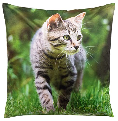 Brandsseller Dekokissen Zierkissen mit Tiermotiv - 40 x 40 cm - Katze