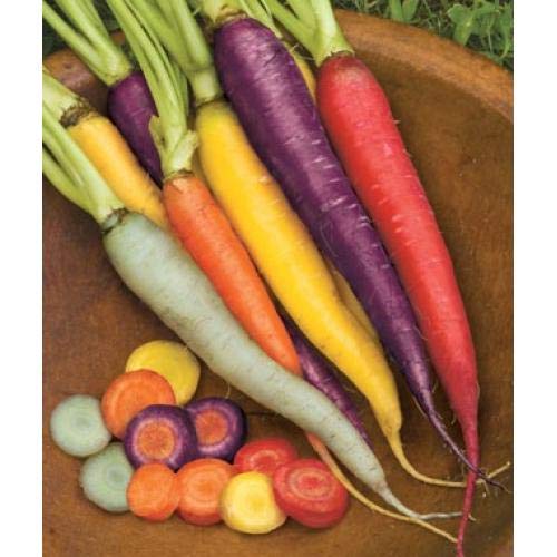 Creative Farmer Vegetable Seeds Carrot Red Long Mixed Colour Seeds - Carrot Seeds Non Gmo Summer Season Veg Seeds Home Garden Seeds (B07N47YF1X) Amazon Price History, Amazon Price Tracker
