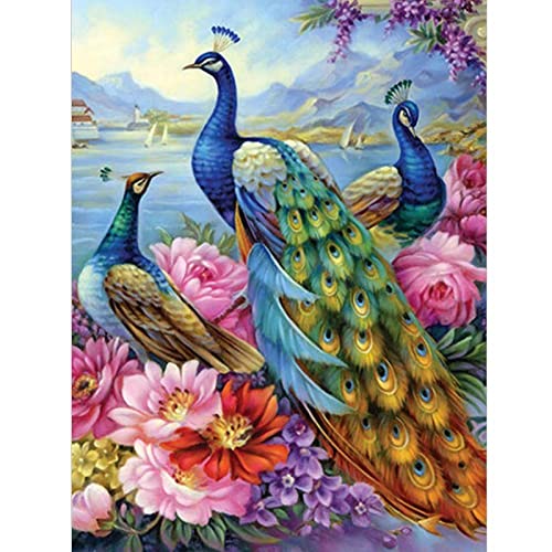 Peinture Diamant Paon pour Salon : Kit Broderie Géant Grand Format