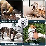 Voarge Ausbildungsgeschirr Hundehalfter Haustier Maulkorb, Einfache Anpassung, Leicht, mit gepolstertem Nasenriemen, Hundemundschutz Training Halter verhindert Bellen Beißen und Kauen, M