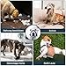 Voarge Ausbildungsgeschirr Hundehalfter Haustier Maulkorb, Einfache Anpassung, Leicht, mit gepolstertem Nasenriemen, Hundemundschutz Training Halter verhindert Bellen Beißen und Kauen, M