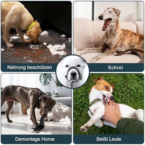 Voarge Ausbildungsgeschirr Hundehalfter Haustier Maulkorb, Einfache Anpassung, Leicht, mit gepolstertem Nasenriemen, Hundemundschutz Training Halter verhindert Bellen Beißen und Kauen, L